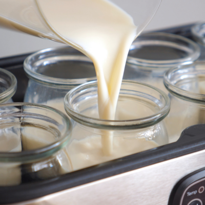 Pouring homemade Super Gut SIBO Yogurt into jars in a yogurt maker, ready for fermentation to support gut healing and digestion