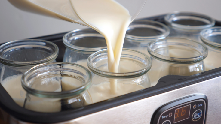 Pouring homemade Super Gut SIBO Yogurt into jars in a yogurt maker, ready for fermentation to support gut healing and digestion