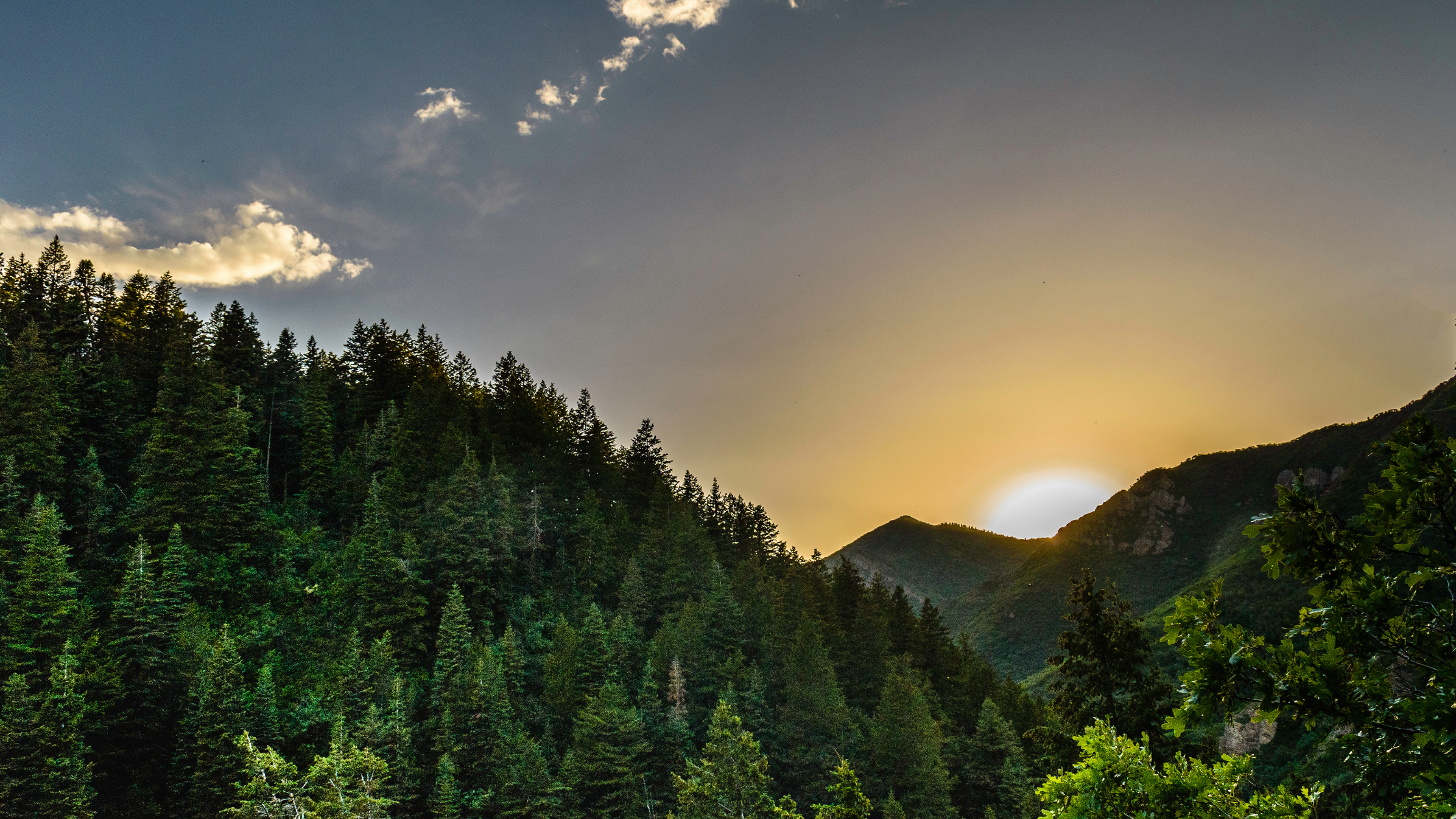 A serene mountain landscape with lush greenery and soft sunlight, symbolizing natural healing, balance, and well-being.