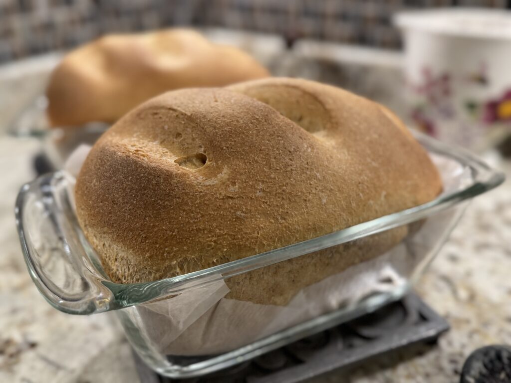 Perfect fresh milled sandwich bread hot out of the oven with a golden crust.